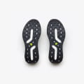 H1 M Everglades