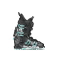 4-Quattro SL Wmn Black Aqua