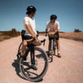 Tiger Wall UL3 Bikepack Solution Dye Greige/Gray