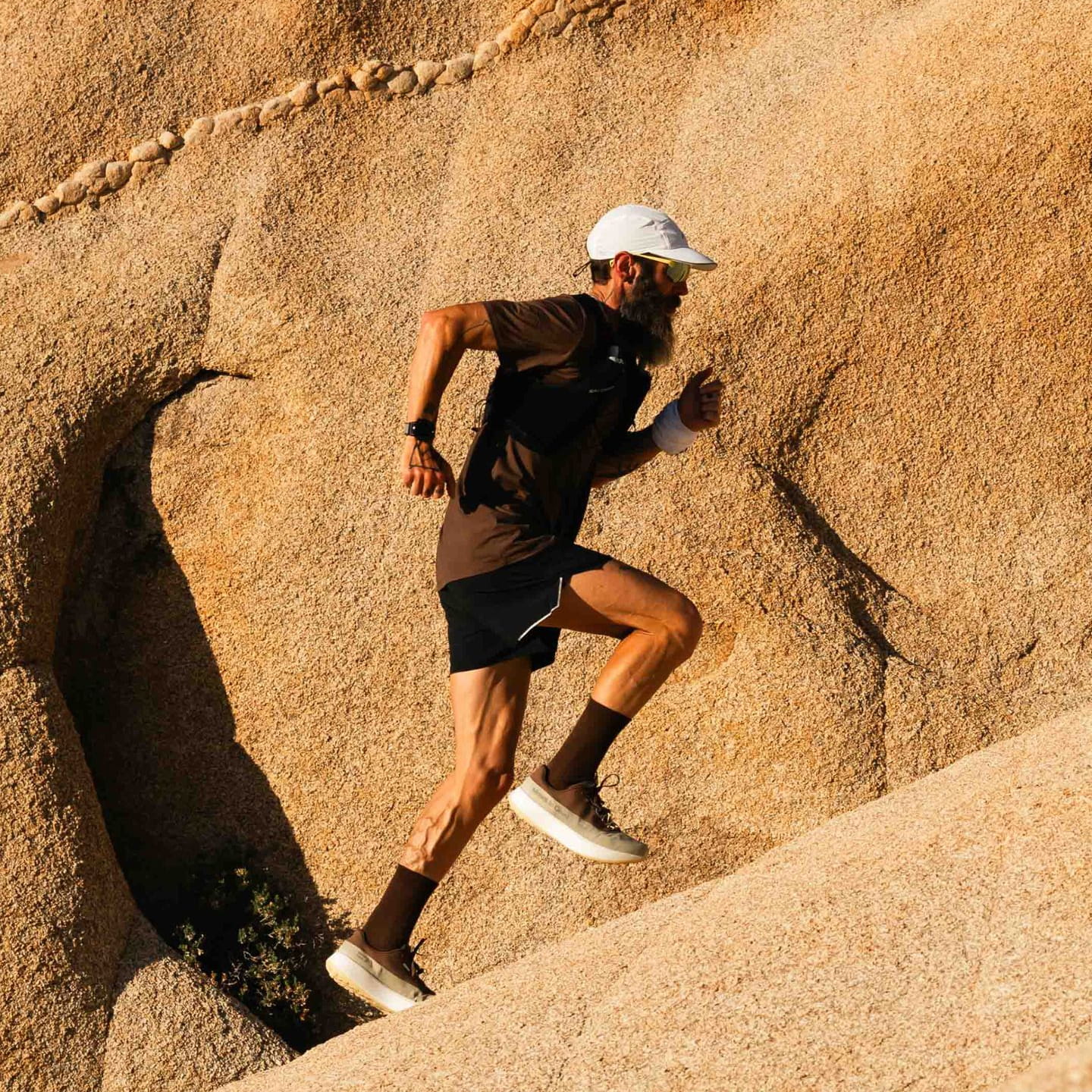 mount to coast gamme produit