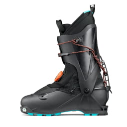 Alien Carbon