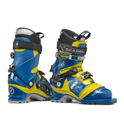 T2 Eco True Blue Acid Green