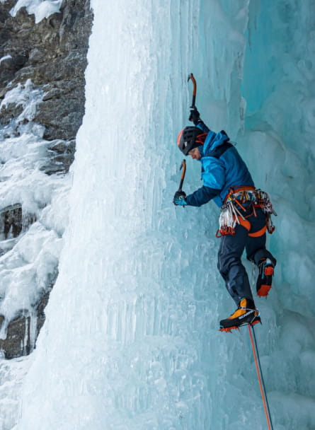 Promotions Plein Nord Distribution