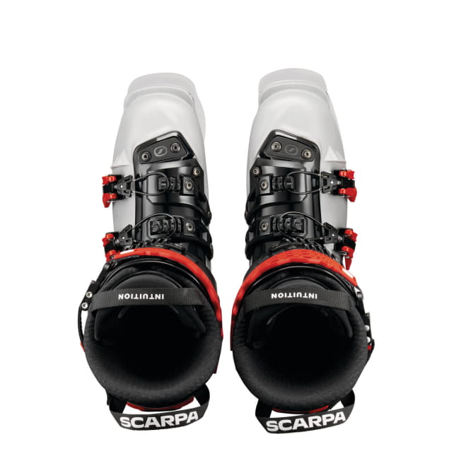 4-Quattro Pro LE Silver Gray Rosso Corsa