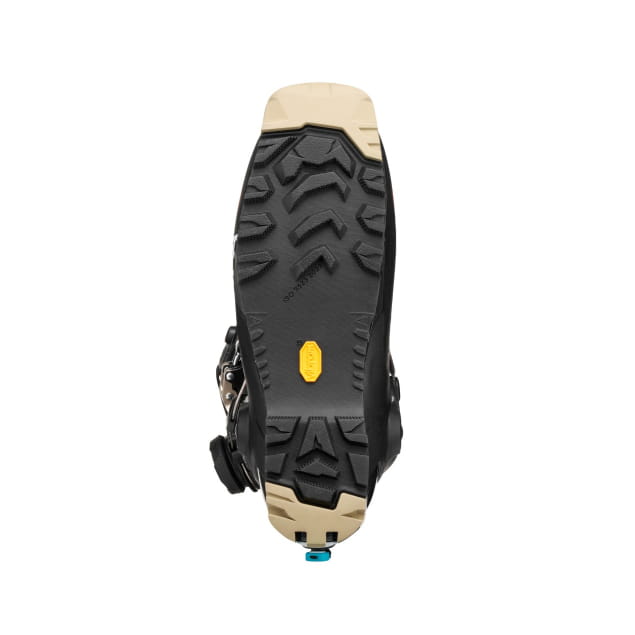 F1 RS Black Bronze