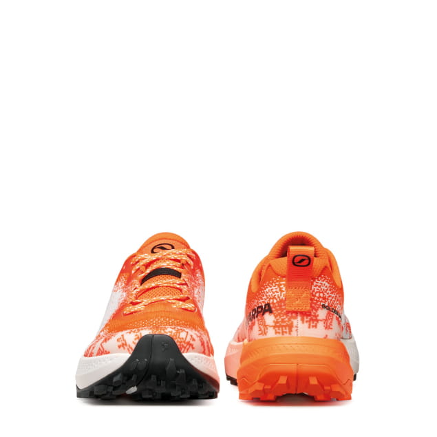 Golden Gate LT White Tonic