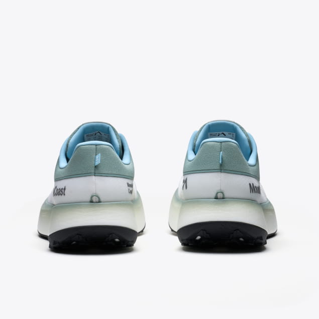 H1 M Everglades