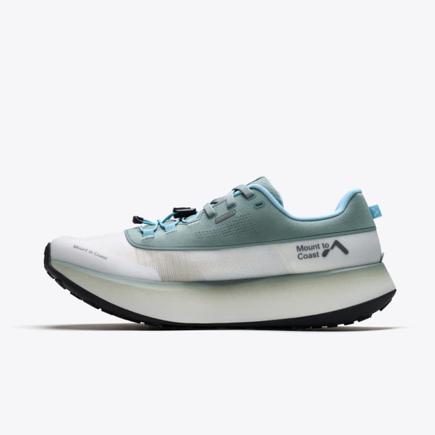 H1 M Everglades