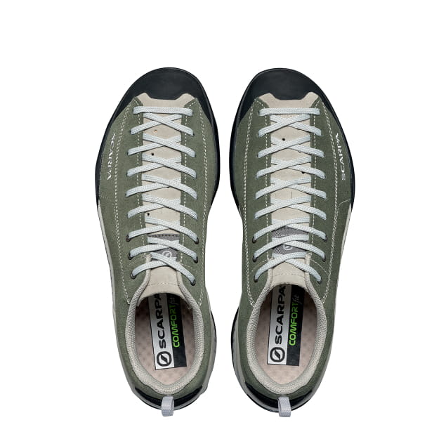 Mojito Birch FW24