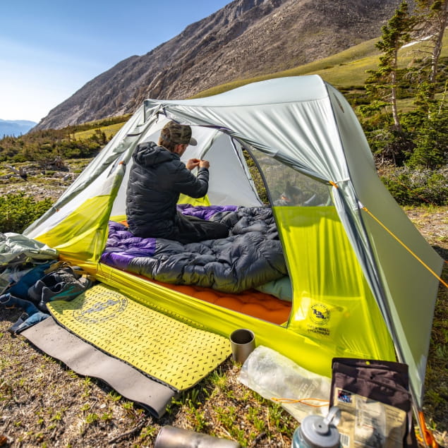 Tiger Wall 2 Platinum