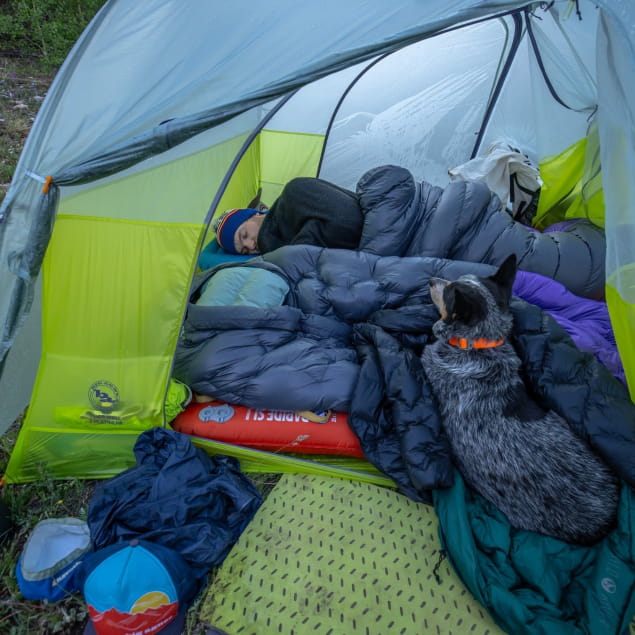 Tiger Wall 2 Platinum