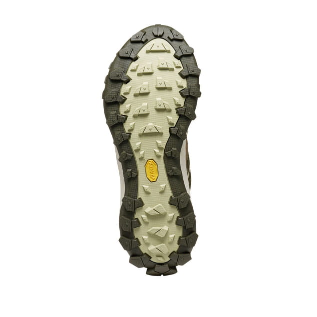 Rove Eucalyptos Forest